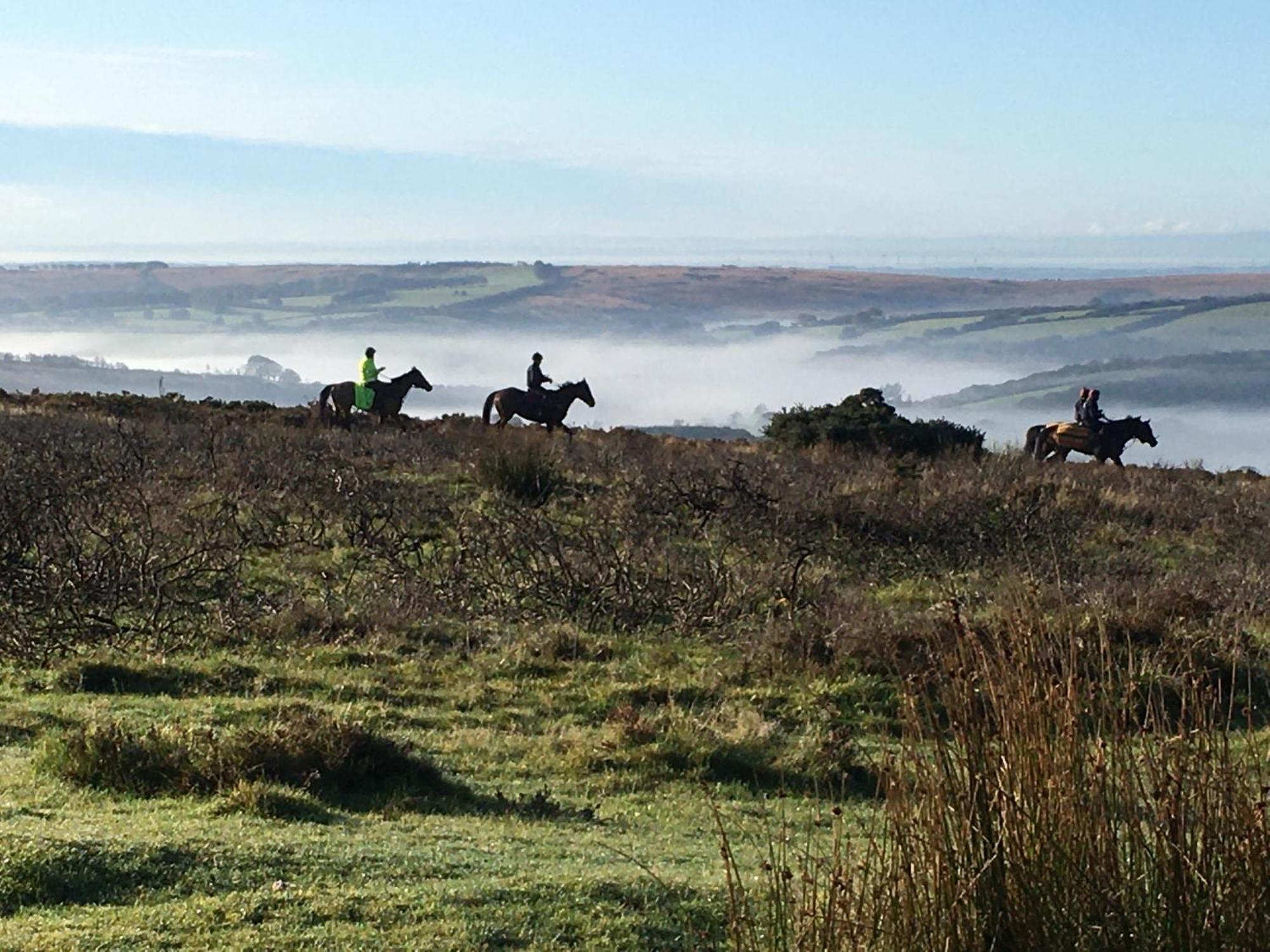 Exmoor Bnb In Withypool On Two Moors Way Dış mekan fotoğraf