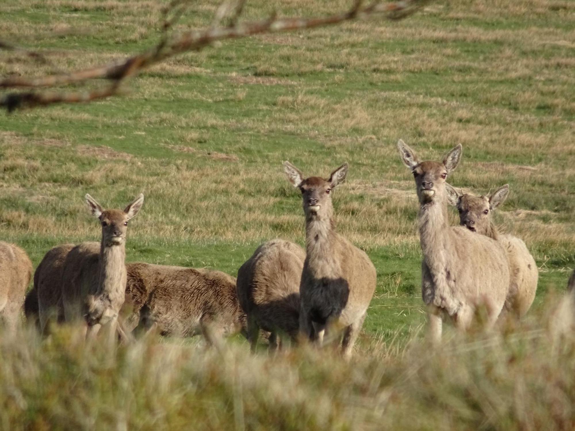 Exmoor Bnb In Withypool On Two Moors Way Dış mekan fotoğraf