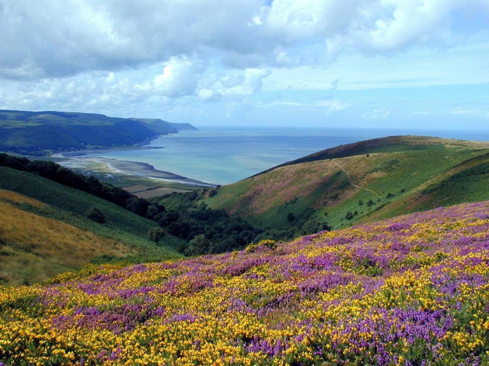 Exmoor Bnb In Withypool On Two Moors Way Dış mekan fotoğraf