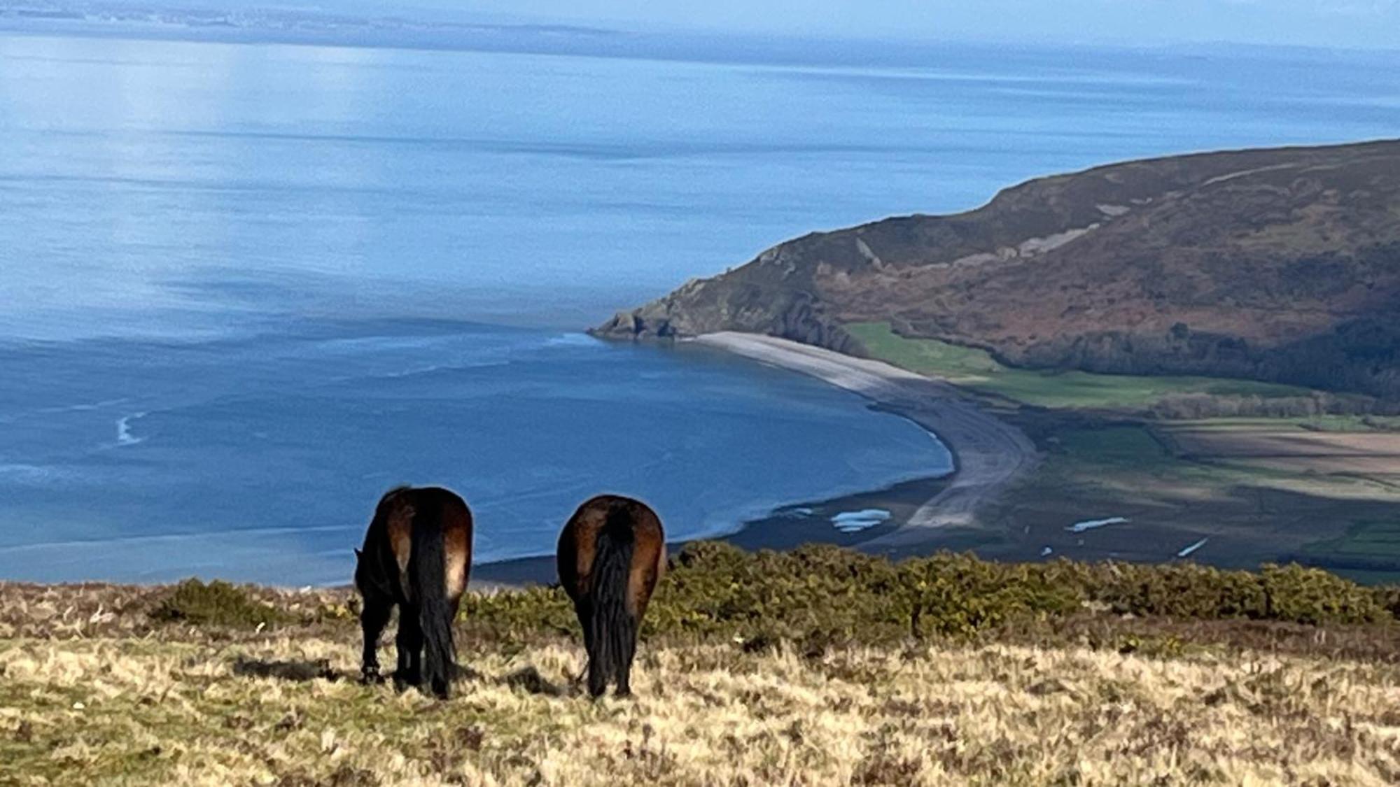 Exmoor Bnb In Withypool On Two Moors Way Dış mekan fotoğraf