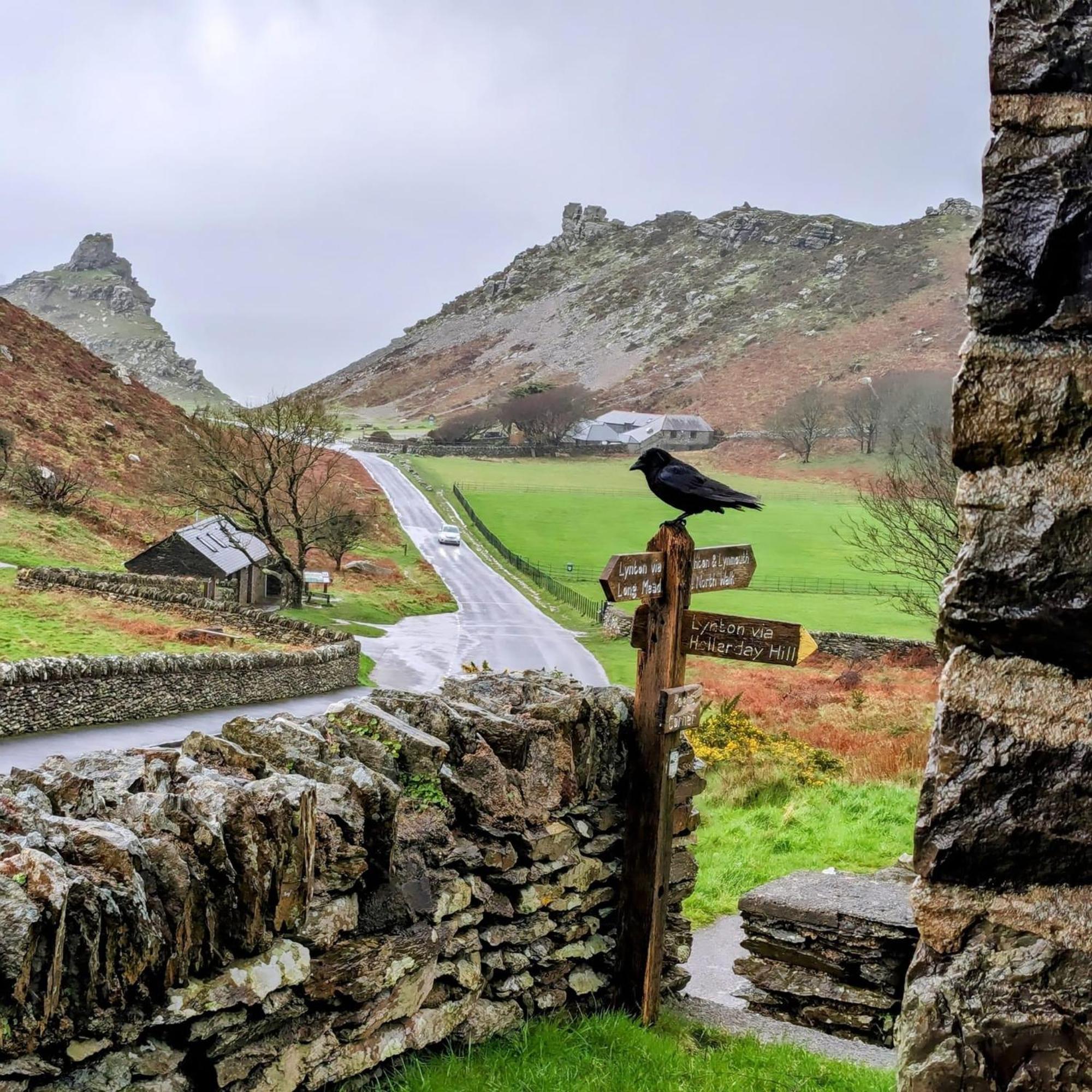 Exmoor Bnb In Withypool On Two Moors Way Dış mekan fotoğraf
