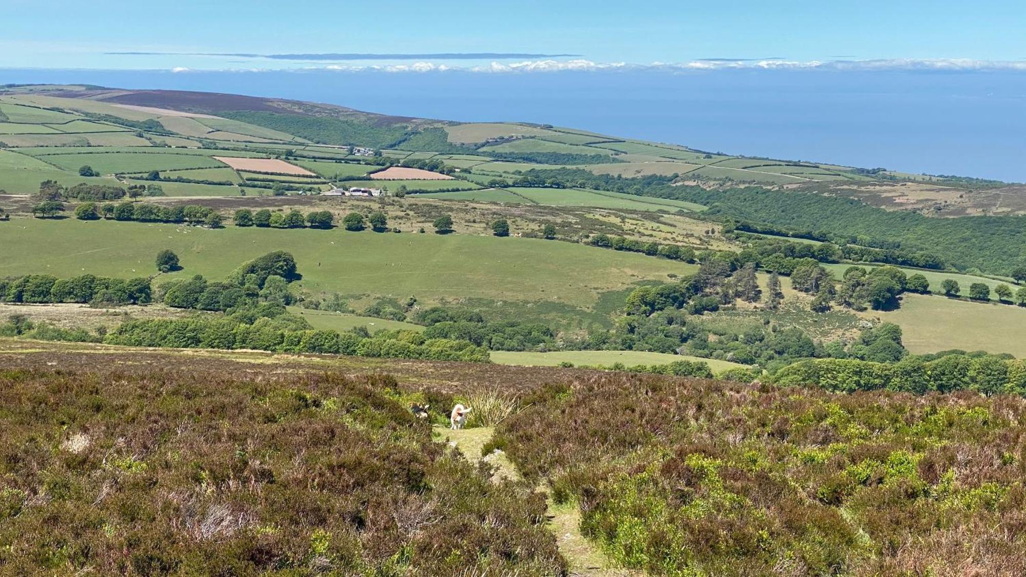 Exmoor Bnb In Withypool On Two Moors Way Dış mekan fotoğraf
